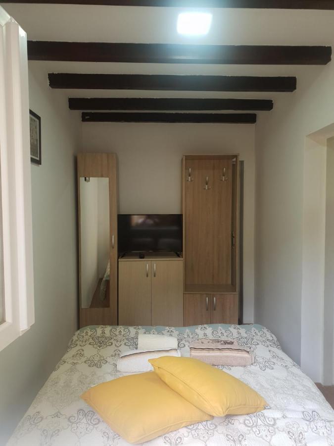 Comfort Apartment